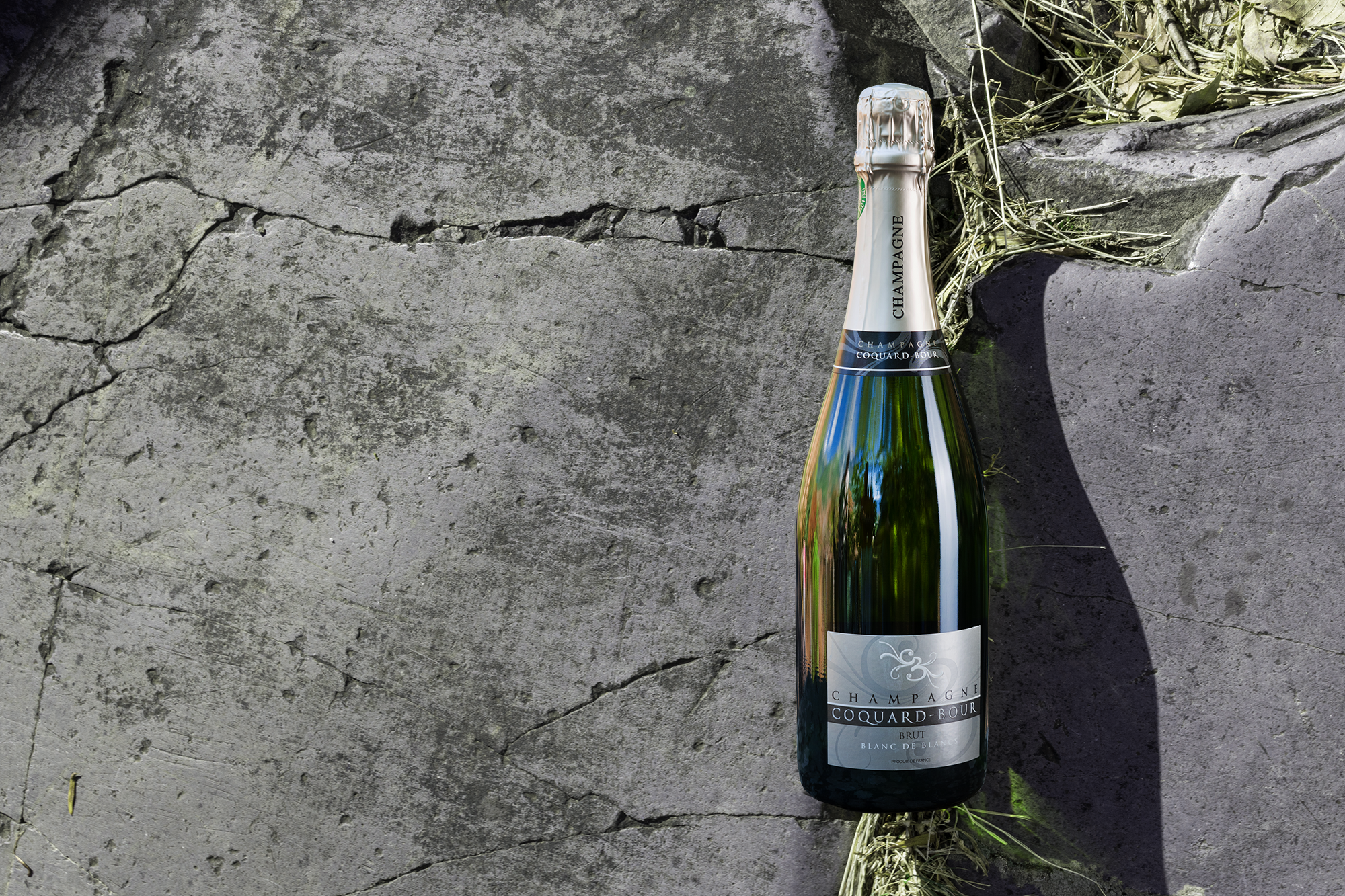 Champagne 101: i nostri Evergeen