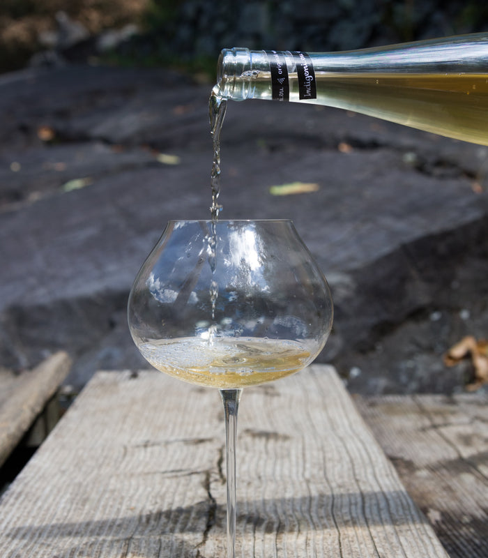Champagne 101: Come viene prodotto e come conservarlo al meglio