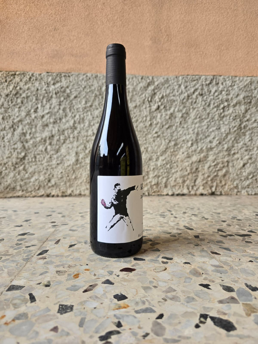 Beaujolais Villages Plein L’Fût