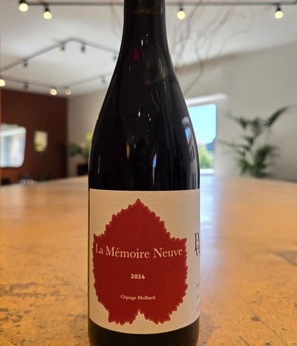La Mémorie Neuve