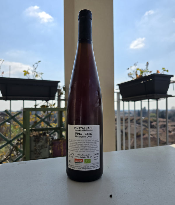 Hors Piste Pinot Gris